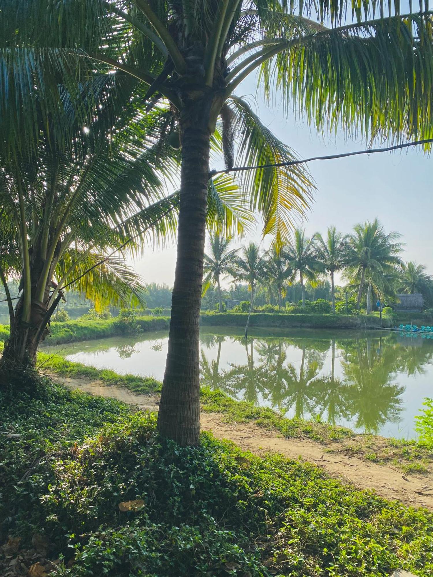 Laoxao Lakeview Homestay Hoi An Exterior foto
