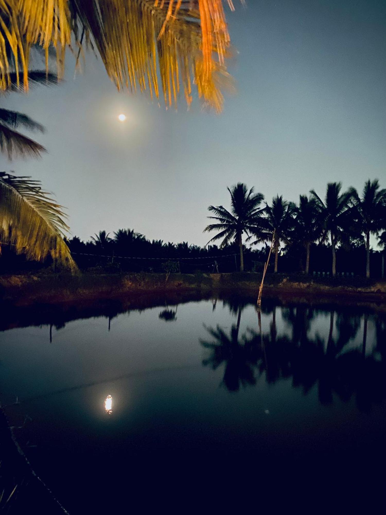Laoxao Lakeview Homestay Hoi An Exterior foto